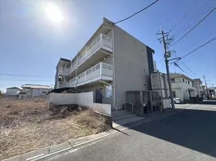 レオネクストヴィオラの画像