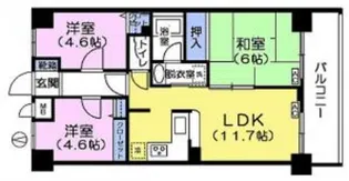 島崎ビル【5階】の間取り