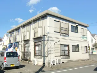 エーデルワイスの画像