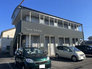TIARA SAKURAIの画像
