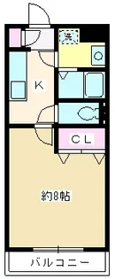 埼玉県新座市大和田5【マンション】の間取り