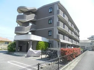 グロース バウムの画像