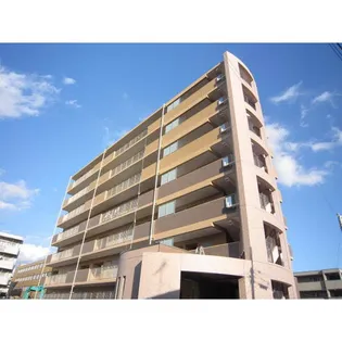 ドルファーズの画像