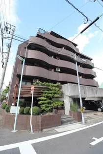 MR SHIROYAMAの画像