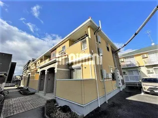 ハイシード平和の画像