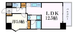 セレニティー名駅【5階】の間取り