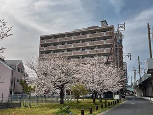 メゾン ド エピスの画像