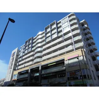 S509ーKINGの画像