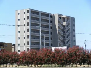 クラティオの画像