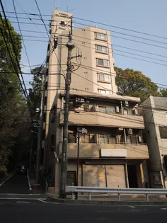 日神パレステージ市川【2階】の外観