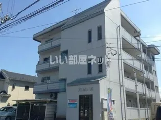 プリムローズの画像
