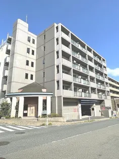 サンライズ仲町台の画像