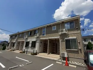 サンフラワーBの画像