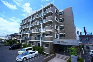 Stella Minami【4階】の外観