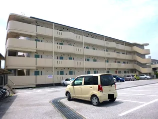 高知県高知市大津乙【マンション】の外観