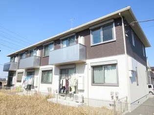 サンライズウロコの画像