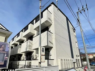 ライラックコートの画像