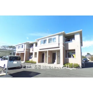 エレガンス ククナの画像