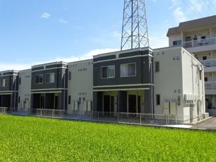 エムズ サンティエの画像