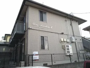 ディオールテラシマIIの画像