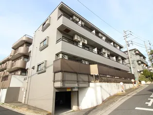 アーデン ヴァリィーの画像