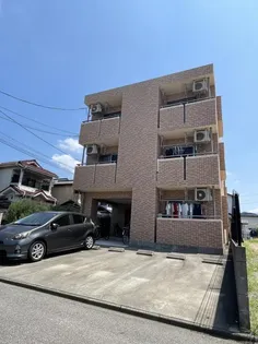 プレシャスコートの画像