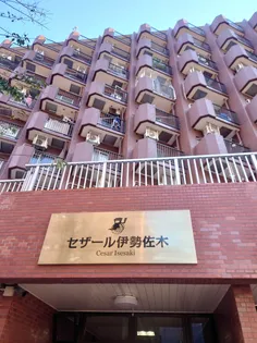 セザール伊勢佐木の画像