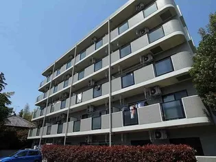 シオン秋山の画像