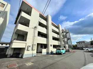 若宮ハイツ【3階】の外観