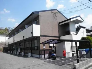 アムール山崎の画像