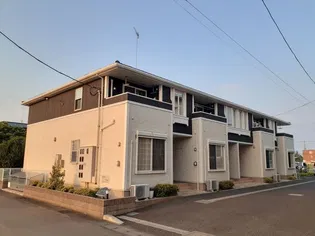 コスモス Aの画像