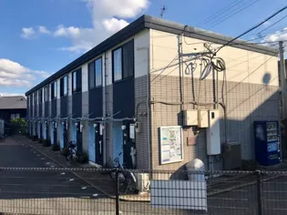 カトレアの画像