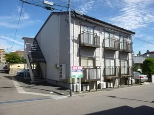 プリマベーラ菜根の画像