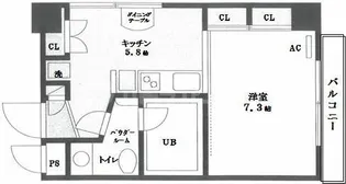 埼玉県さいたま市大宮区仲町2【マンション】の間取り