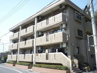 サンリアン【3階】の外観