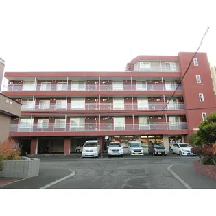 広瀬ビルコットンの画像