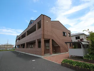 グランドールの画像