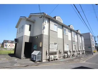 コスモス砂山Bの画像