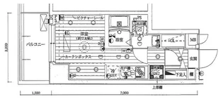 Le lion大塚【7階】の間取り