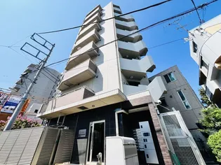 STELLA SENDAIZAKAの画像