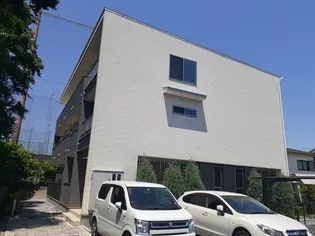 ローレルの画像