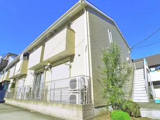 FOREST PIA UMEJIMAの画像