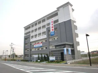 エグゼクティブ フィーリアの画像