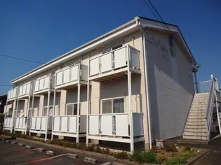 サープラスワン伊藤の画像