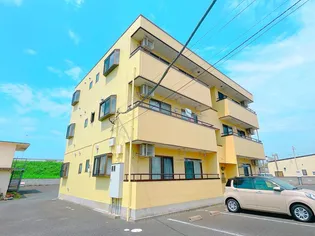 FIELD COSMO フィールドコスモの画像