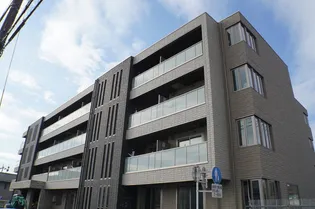 アルテージ錦の画像