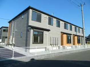 プラシードHの画像