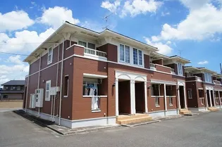 PINE DROP Bの画像