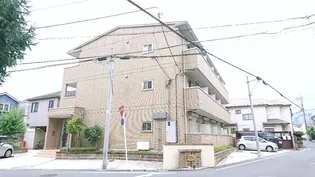 パルテアの画像