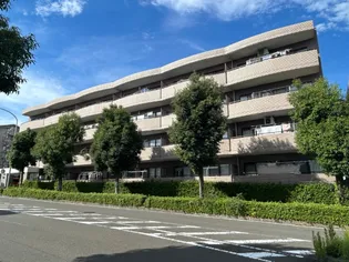 ラ カージェの画像